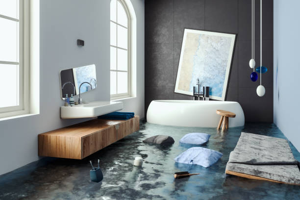 Best Professional water damage repair  in Sykesville, MD