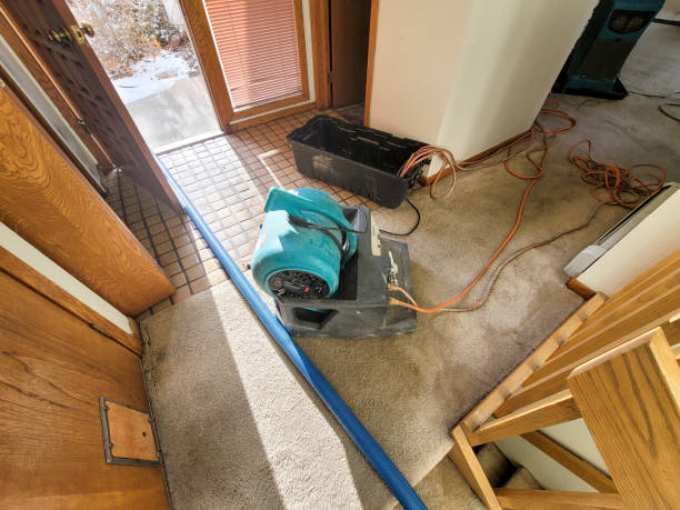 Best Water damage restoration experts  in Sykesville, MD