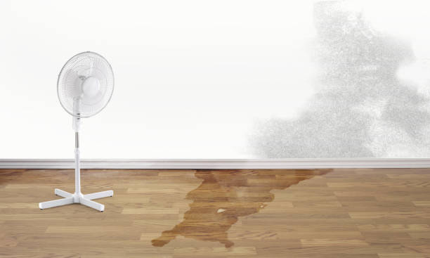 Best Water damage restoration insurance claims  in Sykesville, MD