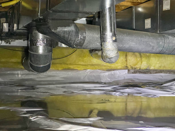 Best Carpet water damage restoration  in Sykesville, MD