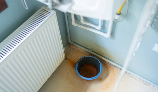 Best Carpet water damage restoration  in Sykesville, MD