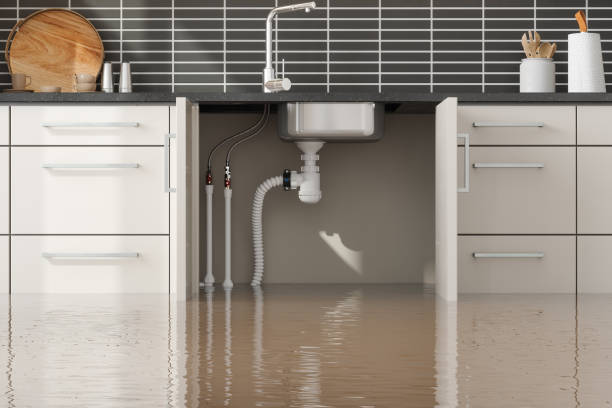 Best Flooded house restoration  in Sykesville, MD